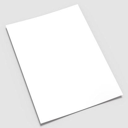 Flyer en blanco