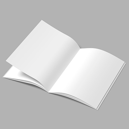 Revista en blanco